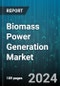 Biomass Power Generation Market by Process, Feedstock, Fuel, End-User - Global Forecast 2025-2030 - Product Image