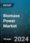 Biomass Power Market by Technology Type, Feedstock Type, Application, End User, Component - Global Forecast 2025-2030 - Product Image