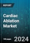 Cardiac Ablation Market by Type, Application, End-User - Global Forecast 2025-2030 - Product Image