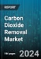 Carbon Dioxide Removal Market by Technology, Carbon Credit Buyer - Global Forecast 2025-2030 - Product Thumbnail Image