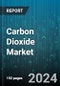 Carbon Dioxide Market by Source, Form, Application - Global Forecast 2025-2030 - Product Thumbnail Image