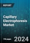 Capillary Electrophoresis Market by Product, Mode of Capillary Electrophoresis, Application, End User - Global Forecast 2025-2030 - Product Image