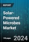 Solar-Powered Microbes Market by Type, End-Use Industry - Global Forecast 2025-2030 - Product Thumbnail Image