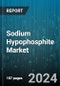 Sodium Hypophosphite Market by Function, Grade, Application - Global Forecast 2025-2030 - Product Image