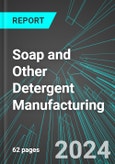 Soap and Other Detergent Manufacturing (U.S.): Analytics, Extensive Financial Benchmarks, Metrics and Revenue Forecasts to 2030- Product Image