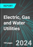 Electric, Gas and Water Utilities (Broad-Based) (U.S.): Analytics, Extensive Financial Benchmarks, Metrics and Revenue Forecasts to 2030- Product Image