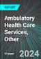 Ambulatory Health Care Services, Other (U.S.): Analytics, Extensive Financial Benchmarks, Metrics and Revenue Forecasts to 2030 - Product Image