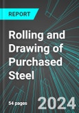 Rolling and Drawing of Purchased Steel (U.S.): Analytics, Extensive Financial Benchmarks, Metrics and Revenue Forecasts to 2030- Product Image