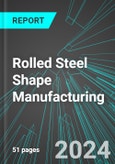 Rolled Steel Shape Manufacturing (U.S.): Analytics, Extensive Financial Benchmarks, Metrics and Revenue Forecasts to 2030- Product Image