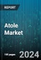 Atole Market by Traditional Atole, Commercially Packaged Atole - Global Forecast 2025-2030 - Product Thumbnail Image