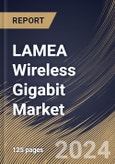 LAMEA Wireless Gigabit Market Size, Share & Trends Analysis Report by Product, End-Use, Technology, Country and Growth Forecast, 2024-2031- Product Image