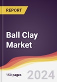 Ball Clay Market Report: Trends, Forecast and Competitive Analysis to 2030- Product Image