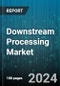 Downstream Processing Market by Technique Type, Application, End-User, Product Type, Operation Scale - Global Forecast 2025-2030 - Product Image