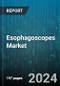 Esophagoscopes Market by Product Type, Application, End Users, Age Group, Sales Channel, Procedure Type - Global Forecast 2025-2030 - Product Thumbnail Image