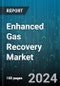 Enhanced Gas Recovery Market by Technology, Application, End Use Industry, Stage, Well Type, Reservoir Type, Method, Component, Resource Type - Global Forecast 2025-2030 - Product Image