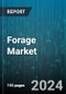 Forage Market by Product Type (Condensed, Frozen, Liquid), Application (Animal Nutrition, Food and Beverages, Personal Care), Distribution Channel, End-user, Packaging, Ingredient, Demographic, Flavors - Global Forecast 2025-2030 - Product Thumbnail Image