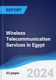 Wireless Telecommunication Services in Egypt- Product Image