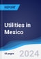 Utilities in Mexico - Product Thumbnail Image