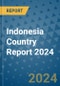 Indonesia Country Report 2024 - Product Thumbnail Image