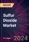 Sulfur Dioxide Market 2024-2028 - Product Thumbnail Image