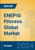 ENEPIG Process Global Market Insights 2024, Analysis and Forecast to 2029, by Market Participants, Regions, Technology, Application, Product Type- Product Image