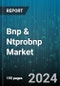 Bnp & Ntprobnp Market by Type (Bnp Test Kits, Ntprobnp Test Kits), Test Type (Laboratory Testing, Point-of-Care Testing), Component, Technology, Sales Channel, Application, End-user - Global Forecast 2025-2030 - Product Image