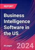 Business Intelligence Software in the US - Market Research Report (2014-2029)- Product Image