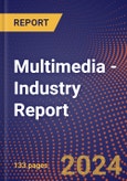 Multimedia - Industry Report- Product Image