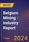 Belgium Mining - Industry Report - Product Thumbnail Image