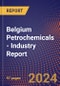 Belgium Petrochemicals - Industry Report - Product Thumbnail Image