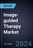 Image-guided Therapy Market, 2024-2029- Product Image