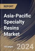 Asia-Pacific Specialty Resins Market Size, Share & Trends Analysis Report By Function, By Application, By Type, By Country and Growth Forecast, 2024 - 2031- Product Image