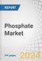 Phosphate Market by Type (Phosphoric Acid, Ammonium, Calcium, Sodium, Potassium), Type of Resource (Sedimentary Marine Deposits, Igneous and Weathered), Application (Fertilizers, Animal Feed, Food Additives), and Region - Global Forecast to 2029 - Product Image