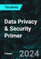 Data Privacy & Security Primer (Recorded) - Product Thumbnail Image