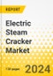 Electric Steam Cracker Market - A Global and Regional Analysis: Focus on End-Use Industry, End-Product, Companies and Institutions Involved in the Development of Electric Furnaces, and Country-Level Analysis - Analysis and Forecast, 2025-2040 - Product Thumbnail Image