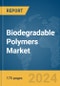 Biodegradable Polymers Market Report 2024 - Product Thumbnail Image