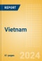 Vietnam - Enterprise ICT Country Intelligence Report - Product Image