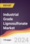 Industrial Grade Lignosulfonate Market Report: Trends, Forecast and Competitive Analysis to 2030 - Product Image