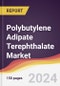 Polybutylene Adipate Terephthalate Market Report: Trends, Forecast and Competitive Analysis to 2030 - Product Thumbnail Image