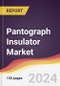 Pantograph Insulator Market Report: Trends, Forecast and Competitive Analysis to 2030 - Product Thumbnail Image