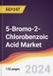 5-Bromo-2-Chlorobenzoic Acid Market Report: Trends, Forecast and Competitive Analysis to 2030 - Product Image