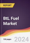 BtL Fuel Market Report: Trends, Forecast and Competitive Analysis to 2031- Product Image