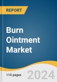 Burn Ointment Market Size, Share & Trends Analysis Report By Product (Topical Antibiotics, Silver, Iodine), By Depth Of Burn (Minor Burns, Partial Thickness Burns), By End-use (Hospitals, Clinics), By Region, And Segment Forecasts, 2025 - 2030- Product Image