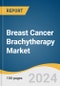 Breast Cancer Brachytherapy Market Size, Share & Trends Analysis Report By Technology (HDR, LDR), By Product (Applicators And Afterloaders, Electronic Brachytherapy), By Region, And Segment Forecasts, 2025 - 2030 - Product Thumbnail Image