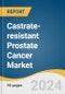 Castrate-resistant Prostate Cancer Market Size, Share & Trends Analysis Report By Therapy (Chemotherapy, Hormonal Therapy, Immunotherapy, Radiotherapy), By Region, And Segment Forecasts, 2025 - 2030 - Product Image