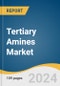 Tertiary Amines Market Size, Share & Trends Analysis Report By Product (C-8 TA, C-10 TA, C-12 TA, C-14 TA, C-16 TA), By Application (Personal Care, Oilfield Chemicals, Water Treatment), By End-use, By Region, And Segment Forecasts, 2025 - 2030 - Product Image