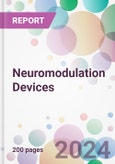 Neuromodulation Devices Market by Product, by Application, by End-User, and By Region- Product Image