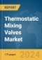 Thermostatic Mixing Valves (TMVs) Market Report 2024 - Product Image