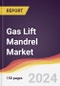 Gas Lift Mandrel Market Report: Trends, Forecast and Competitive Analysis to 2031 - Product Image