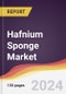 Hafnium Sponge Market Report: Trends, Forecast and Competitive Analysis to 2030 - Product Thumbnail Image